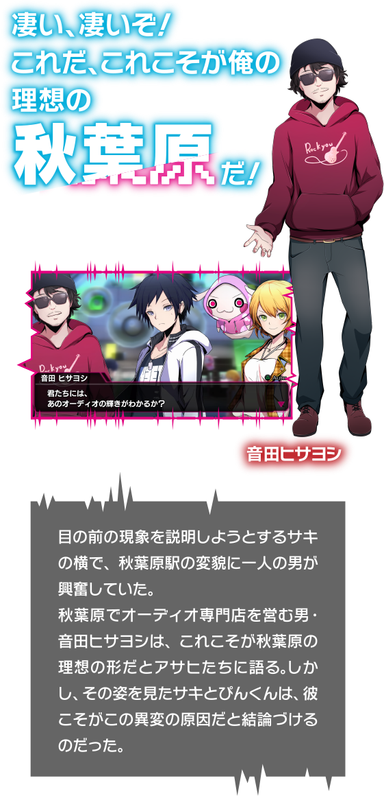 凄い、凄いぞ！ これだ、これこそが俺の理想の秋葉原だ！